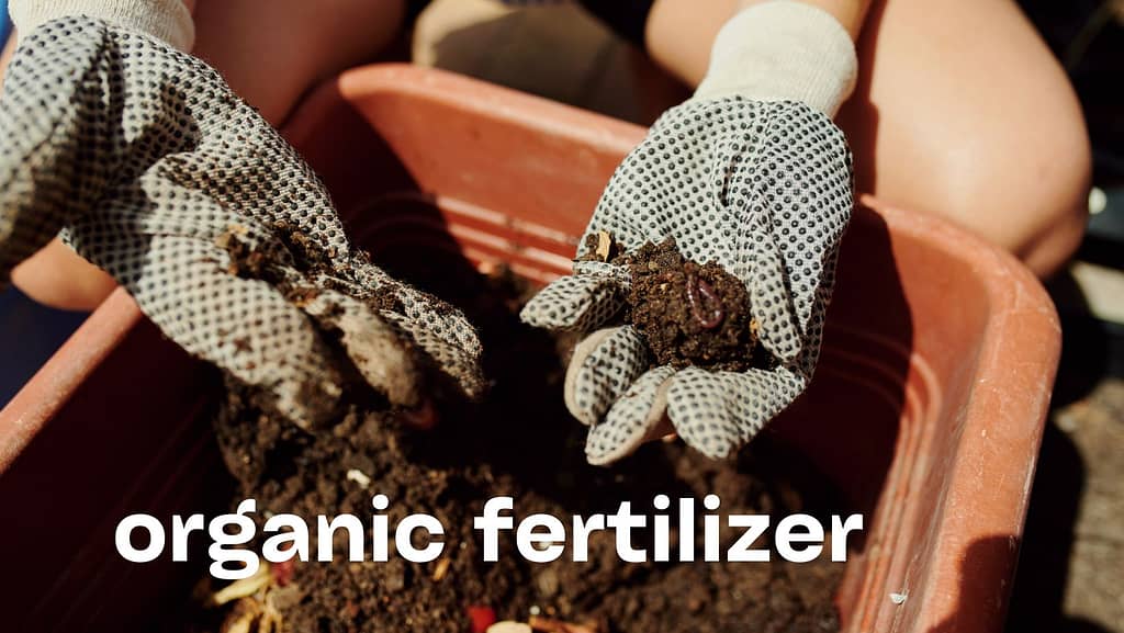 Npk Fertilizers: Different Types Of Fertilizers