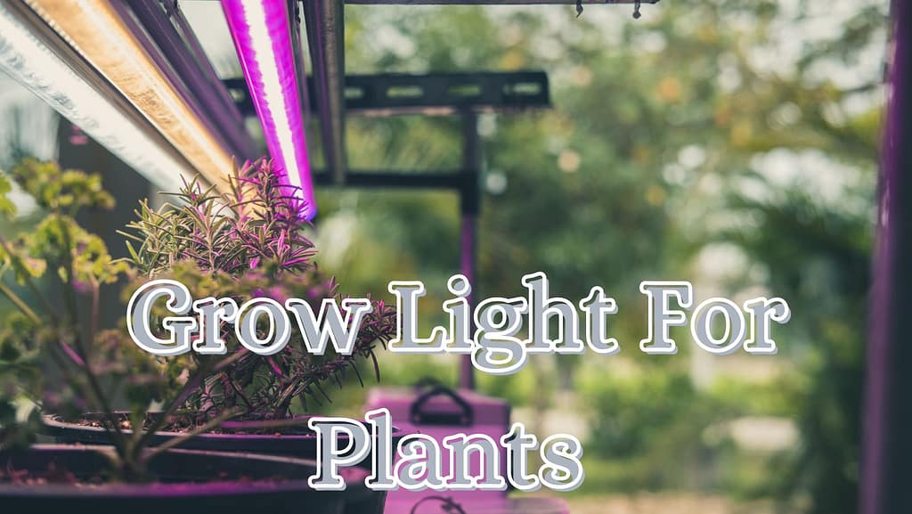 Duration To Keep Grow Lights On Plants The Ideal Timing