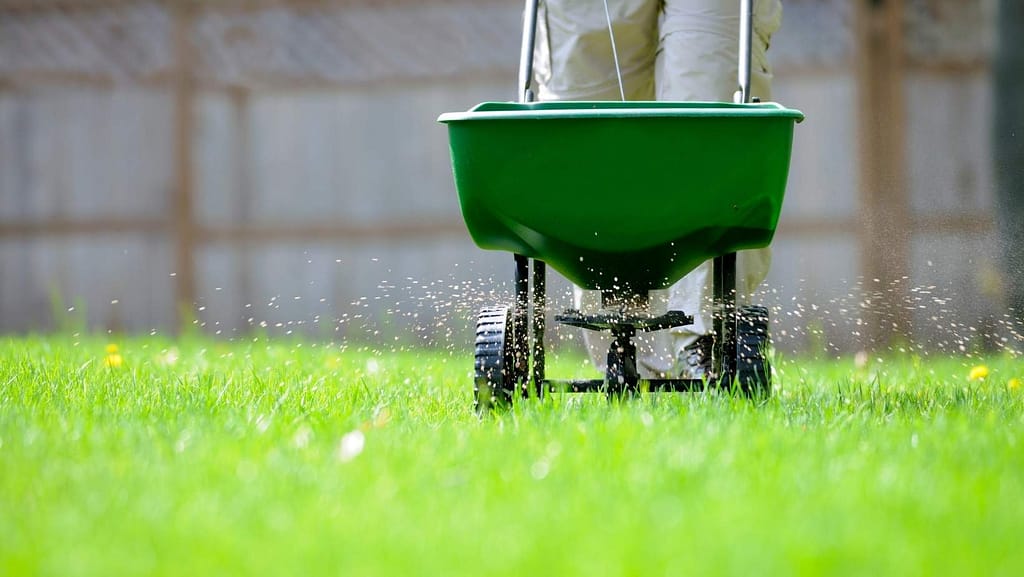 fertilizing with a broad spreader