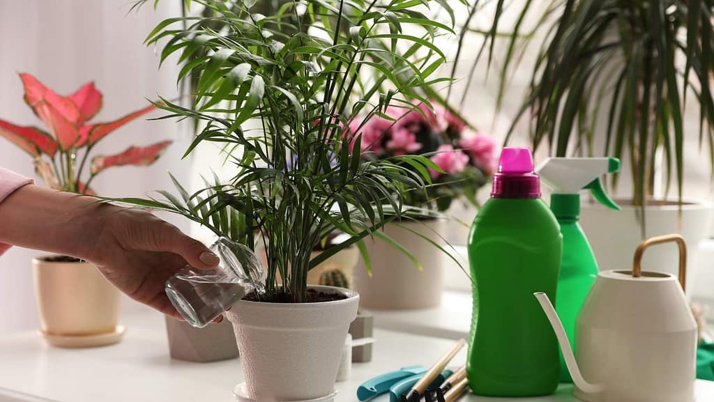 types of fertilizers 