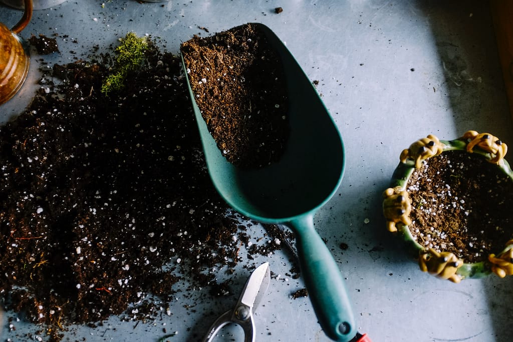 10-20-10 Fertilizer: When & How to Use It effectively?