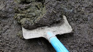 cow-manure